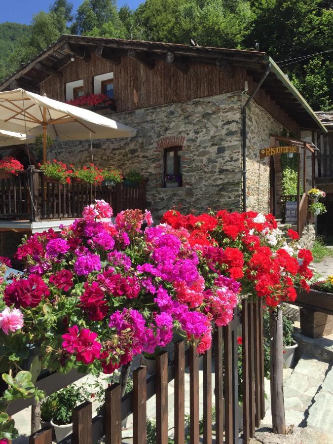 B&B Vinicola23 Limone Piemonte Room photo